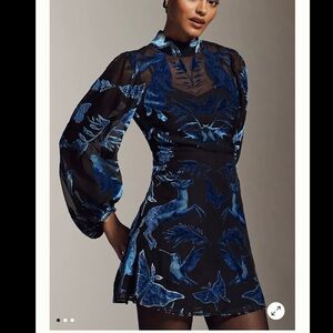 Anthropologie velvet burnout Elegant Black and Blue Sheer Dress size medium